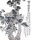 张正忠花鸟画 双柏图赞