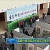 新闻 首届中国田园山水画双年展在海举行