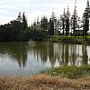 张正忠田园风光采风－水景