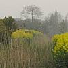 张正忠田园风光采风－田野